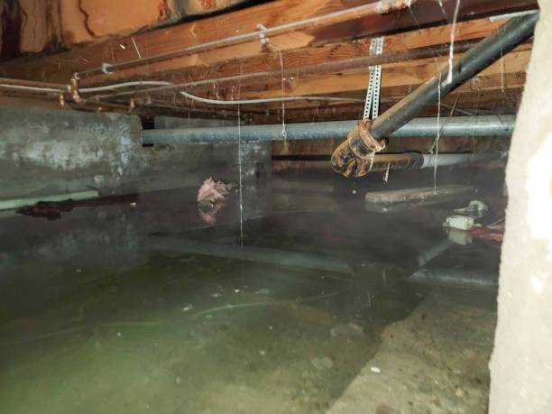 Best 24/7 water damage repair  in Atlantic City, NJ