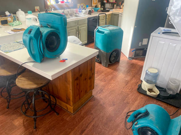 Best Water damage contractors near me  in Atlantic City, NJ