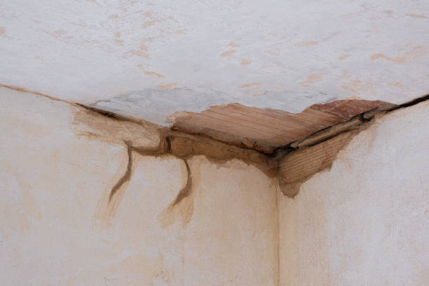 Best Flood damage cleanup  in Atlantic City, NJ