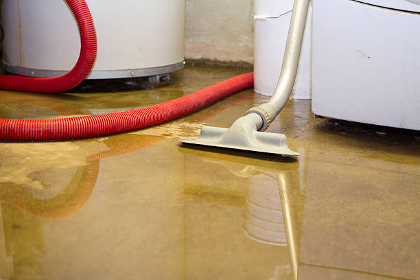 Best Local water damage restoration  in Atlantic City, NJ