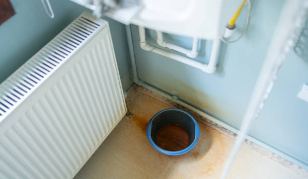 Best Mold removal after water damage  in Atlantic City, NJ