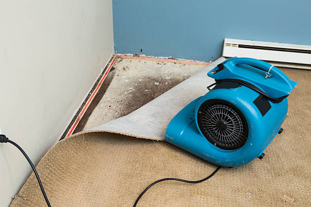 Sewage cleanup and water damage restoration in NJ